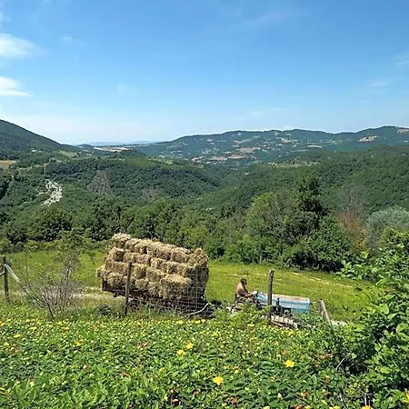 Le Silve Di Armenzano