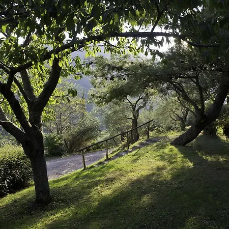 Ξενοδοχείο Le Silve Di Armenzano 4*