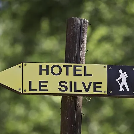 Hotel Le Silve Di Armenzano 4*