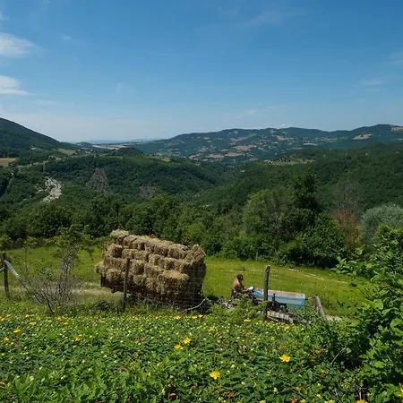 Le Silve Di Armenzano Assisi