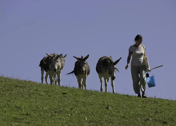 Hotel Le Silve Di Armenzano 4*
