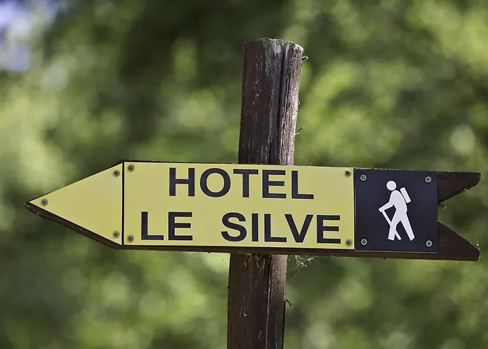 Hotel Le Silve Di Armenzano 4*