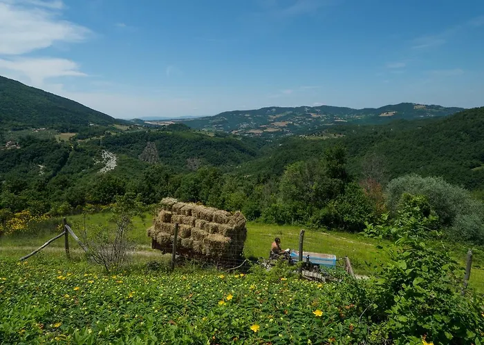 Le Silve Di Armenzano Assisi